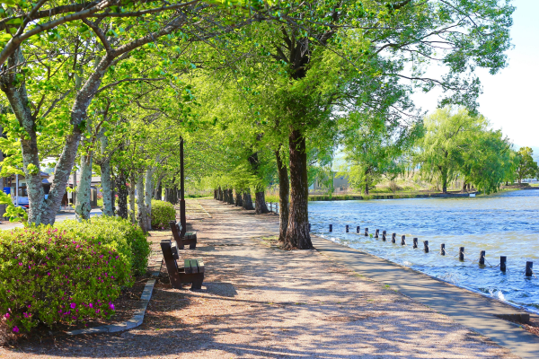 Corporate Catering in Lucama, NC