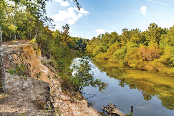 Scenic picnic setup at Cliffs of the Neuse State Park for corporate event